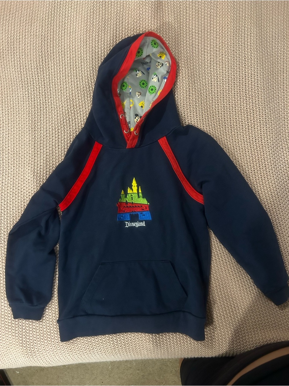 Disney Parks Navy Hoodie with Red Trim and Colorful Castle Graphic
